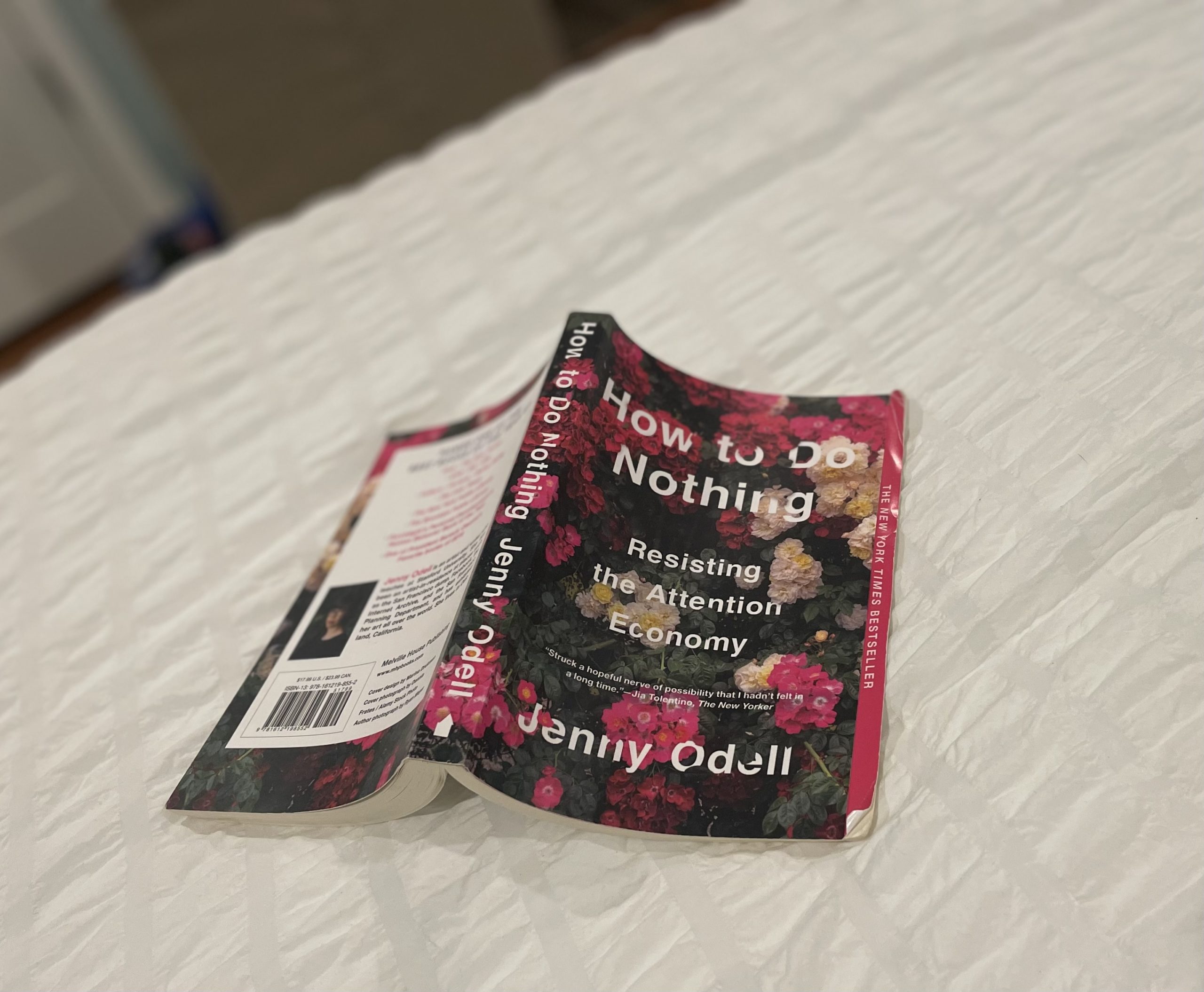 How to Do Nothing | Julia Roller
